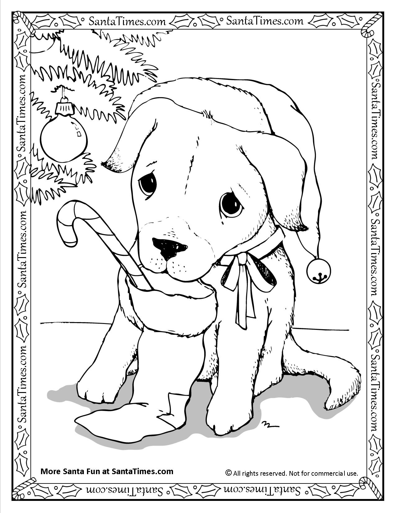 christmas dog printable coloring pages - photo #14